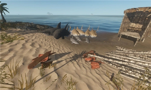 深海搁浅荒岛求生