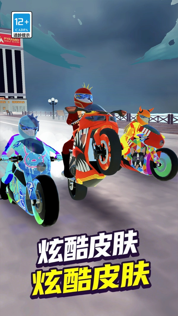 全民摩托车正版(3)