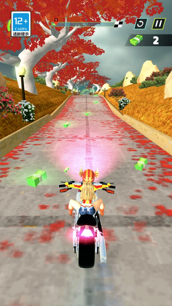 全民摩托车正版(5)