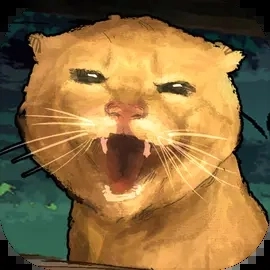 圆头猫大作战