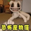 猫猫大冒险正版