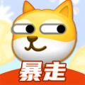 暴走p图