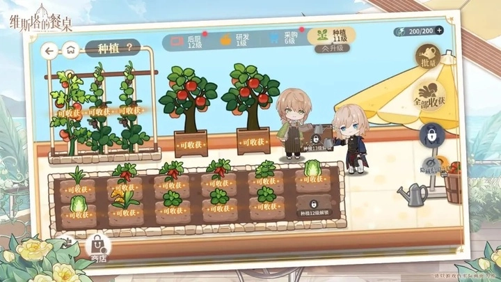 维斯塔的餐桌正版(4)