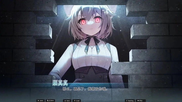 不存在的谎言手机版(5)