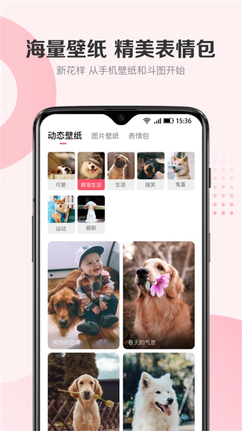 68宠物官方正版