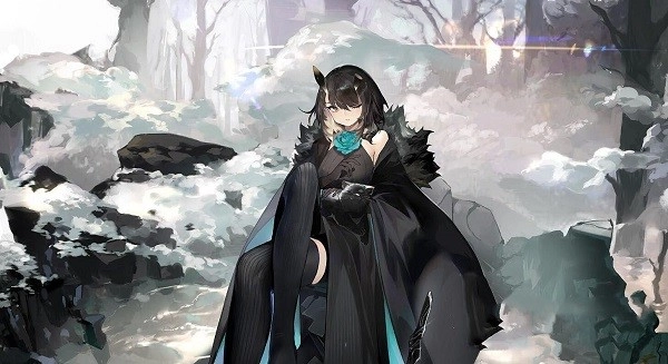 白夜极光国际服