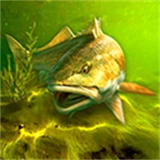 我的钓鱼世界汉化版 v14