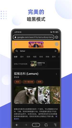 狐猴浏览器手机版图1