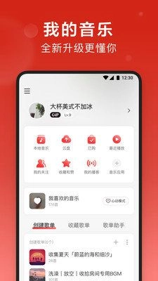 网易云音乐荣耀定制版图3