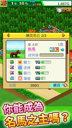 顶级跑马牧场图2