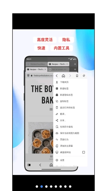 vivaldi浏览器ios版图2