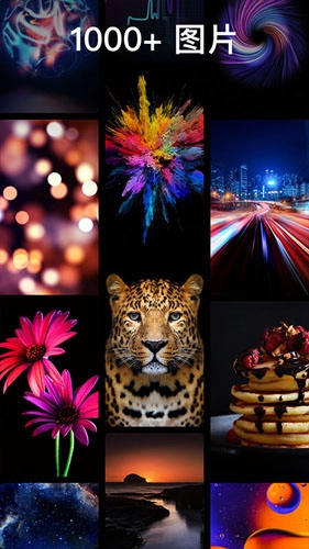 主题壁纸专业版(1)