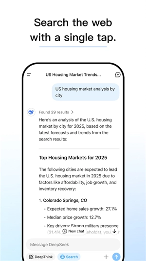 deepseek国外版截图0