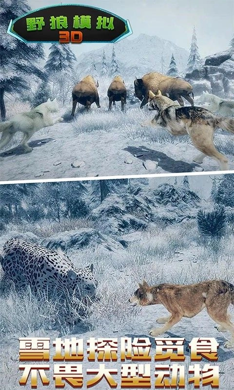 野狼模拟3D图2