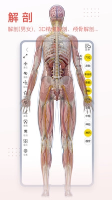 3dbody解剖图3