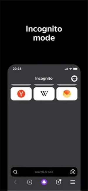 俄罗斯搜索引擎浏览器图1