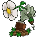 植物大战僵尸长城版