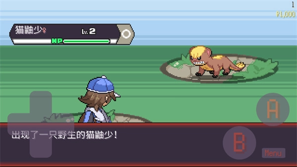 宝可梦肉鸽妖梦游戏安装包(4)