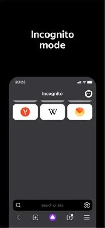 俄罗斯引擎浏览器手机版(5)