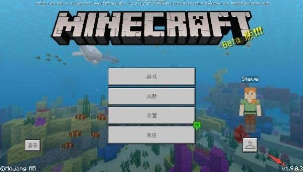 我的世界海洋版