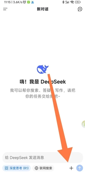 deepseek快手版