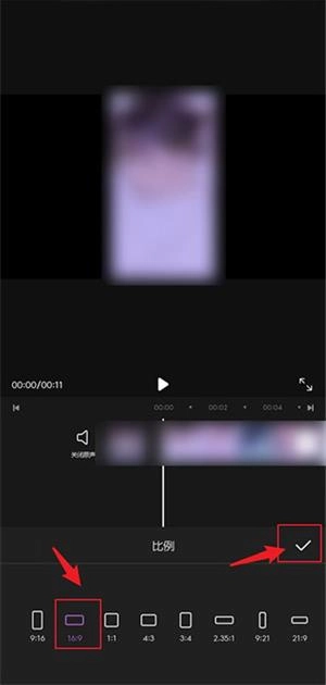 花瓣剪辑软件安装