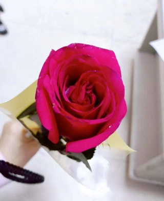 美图秀秀安卓版