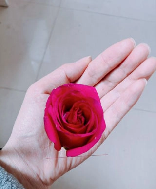 美图秀秀安卓版