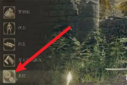艾尔登法环在游戏里怎么显示帧数
