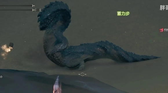 在《怪物猎人：荒野》里，沙海龙的位置在哪里呢？