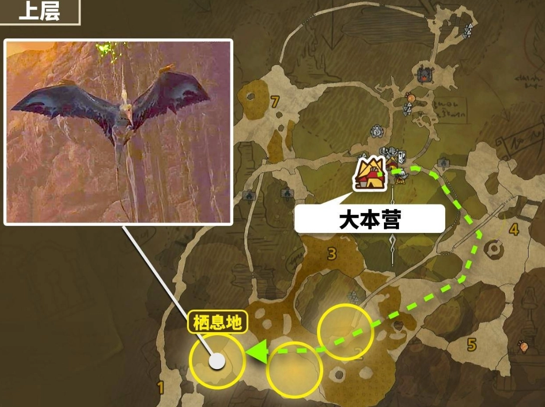 怪物猎人荒野里翼龙的皮要怎么获得