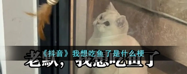 我想吃鱼了这个梗的百科介绍