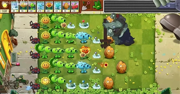 植物大战僵尸转基因版图2