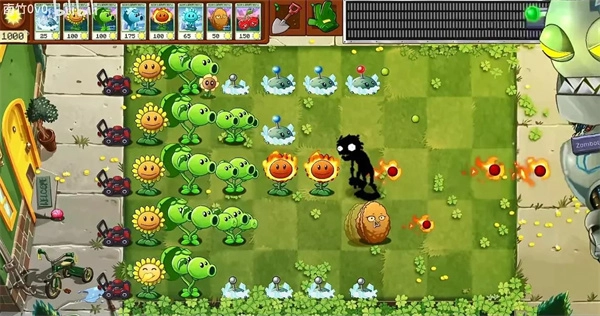 植物大战僵尸转基因版图3