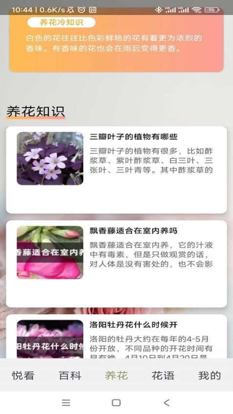 四季养花正版图3