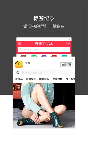 绿叶浏览器安卓版图3