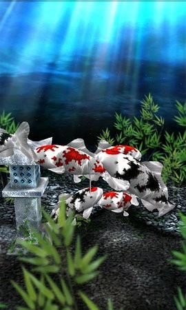 水族馆动态壁纸汉化版图2