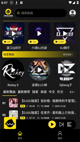 dj呦呦音乐网(3)