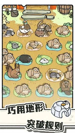 猫神牧场正版图4