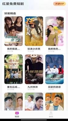 红星免费短剧图3