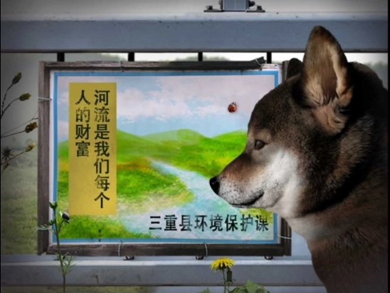 翌日波奇狗的历险记中文版(3)