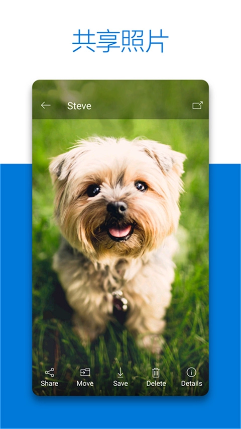 SkyDriveapp下载-SkyDrive网盘APP官方下载安卓版最新版v7.223