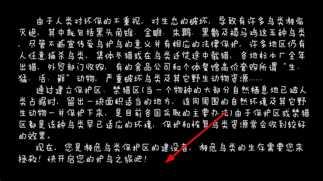 鸟之森
