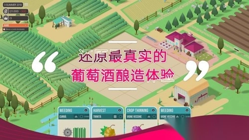 酿造物语各种酒最佳数据(1)