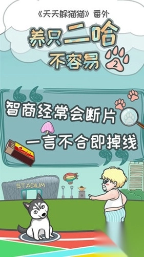 养只二哈不容易2