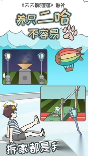 养只二哈不容易2