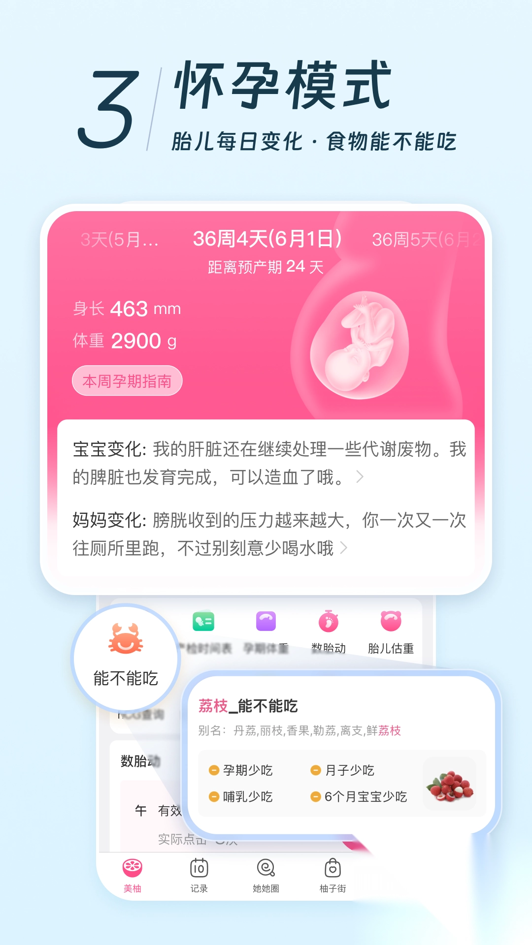 美柚去精简版截图1