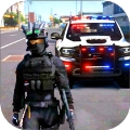 真实警车追逐