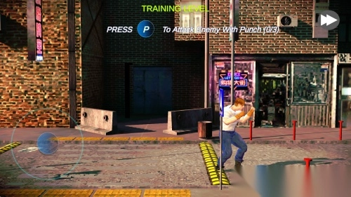 功夫王格斗冠军图2