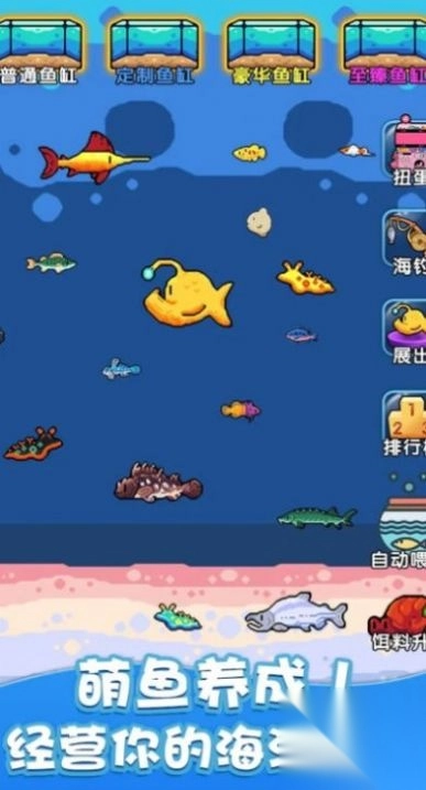 快来养鱼手机版